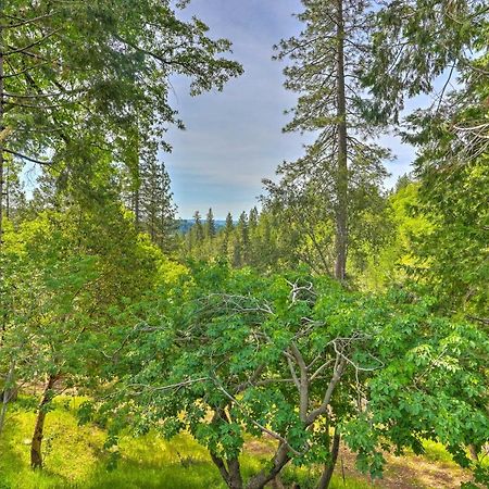 Apple Hill Home 10 Acres With Beautiful Views! Camino Exterior foto