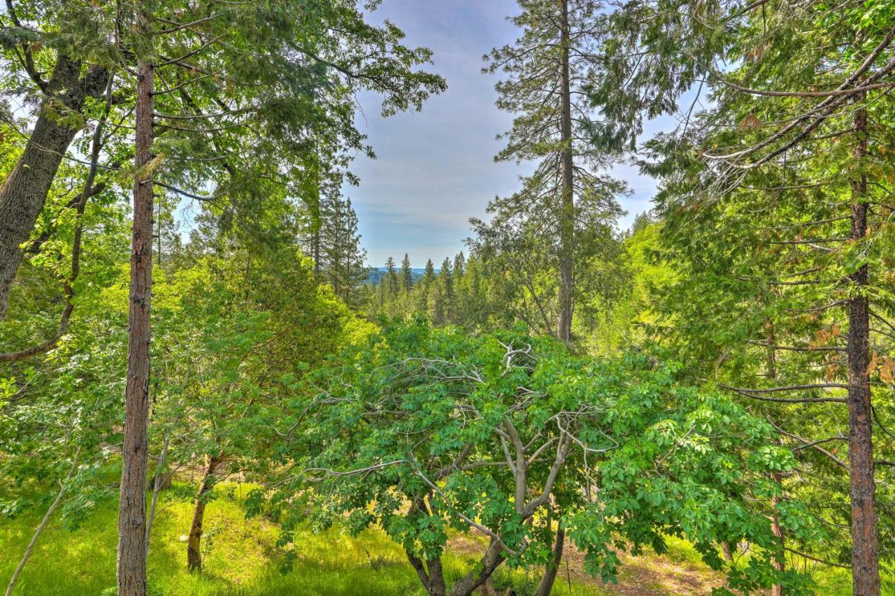 Apple Hill Home 10 Acres With Beautiful Views! Camino Exterior foto